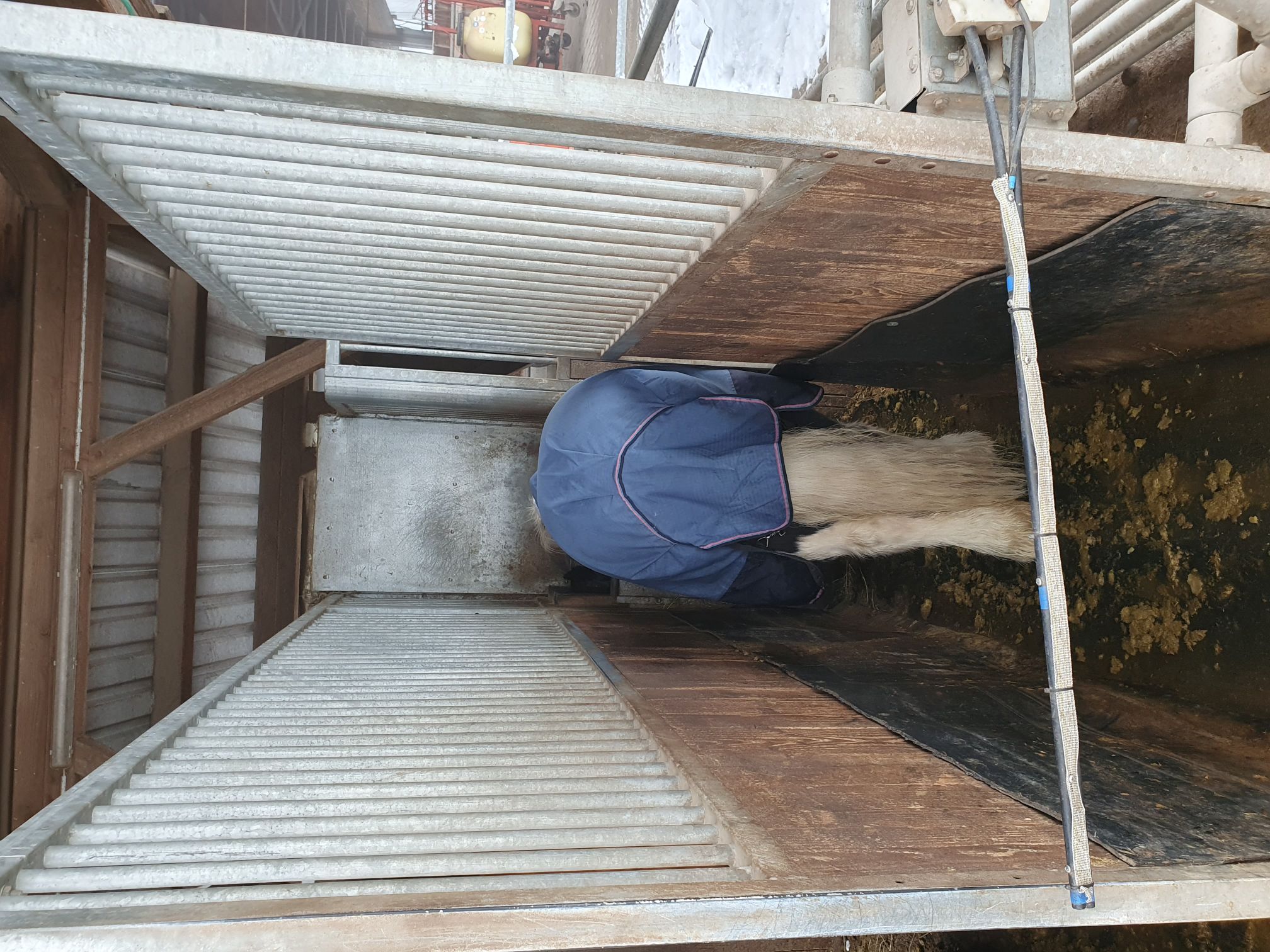 2023 12 Dezember 630